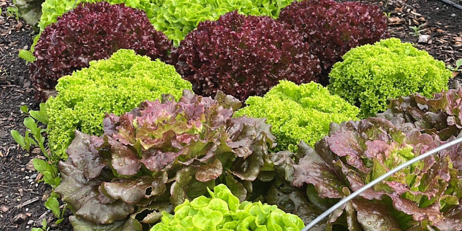 C80E1B6C-F790-45E3-9912-6C239A16B826